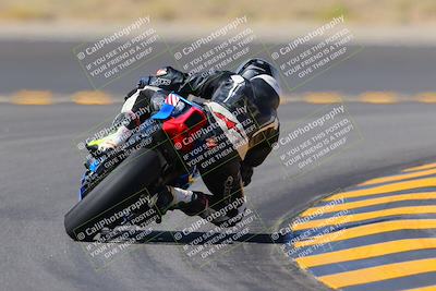 media/Oct-08-2022-SoCal Trackdays (Sat) [[1fc3beec89]]/Turn 11 Backside (1145am)/